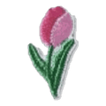 Tulipe rose