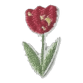 Tulipe rouge