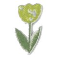 Tulipe verte