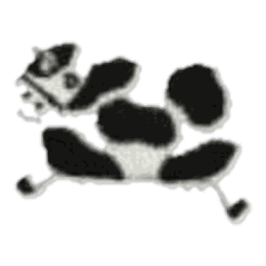 Vache